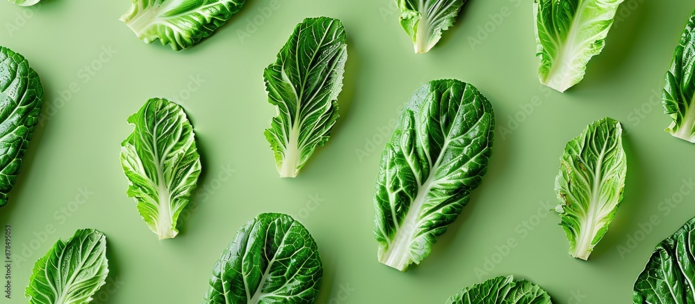 Poster flatlay showcasing a creative design with romaine leaves on a green backdrop, creating a healthy veg