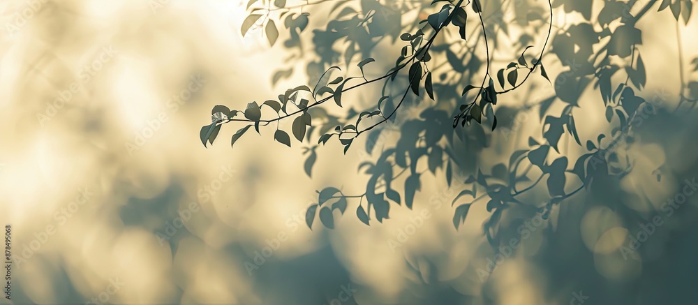 Aufkleber An abstract design element with a blurred tree branch shape overlaying an organic plant shadow with a copy space image.