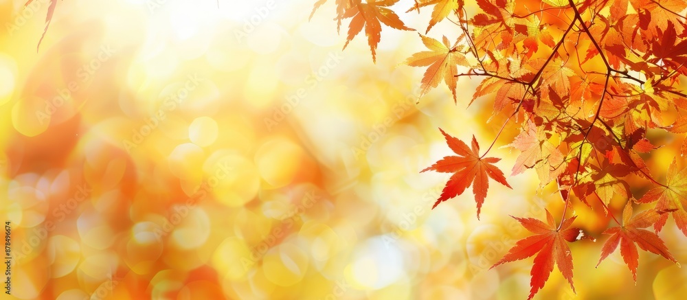 Aufkleber blurry natural background with autumn maple leaves in red and yellow, perfect as a copy space image.