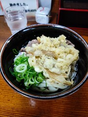 ごぼう天うどん　福岡