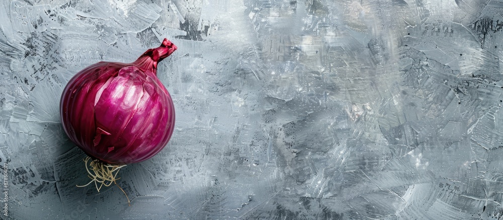 Poster top view of a red onion used for salads set against a grey backdrop with ample copy space image.