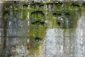 A wall covered in moss and dirt with a few holes in it. The wall is old and has a worn appearance