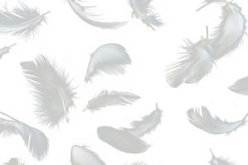 White feathers floating in the air, Realistic volumetric fluffy twirled feathers set, white feathers isolated on transparent background