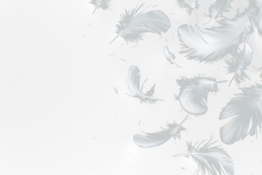 White feathers floating in the air, Realistic volumetric fluffy twirled feathers set, white feathers isolated on transparent background
