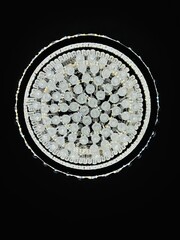 Designed decoration ceiling light on black background 
