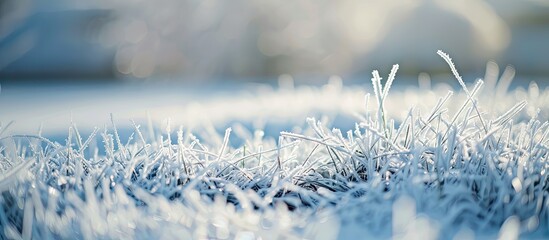 Frost-covered grass in a winter backdrop with ample copy space image.