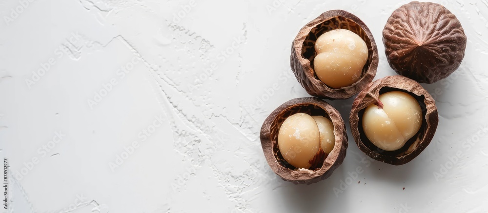 Poster macadamia nut half shell on a white background with ample copy space image.