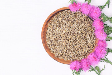 Silybum marianum herb seeds and flowers.Seeds of a milk thistle on white background.Alternative medicine concept on a white wooden table, top view.