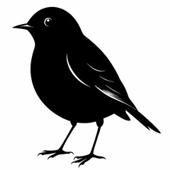 Robin black silhouette