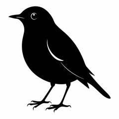 Robin black silhouette