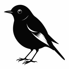 Robin black silhouette