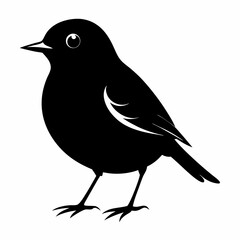 Robin black silhouette