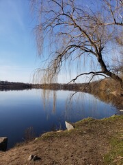 Obraz premium sky with clouds over the river, view from the shore