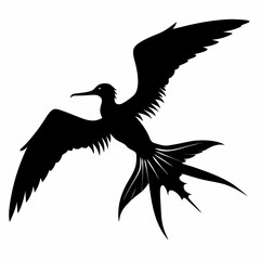Frigatebird silhouette black