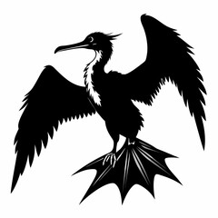 Frigatebird silhouette black