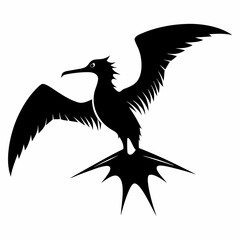 Frigatebird silhouette black