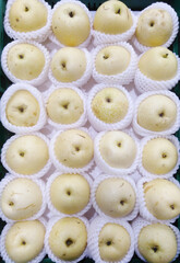 Fresh Asian Pears in Protective Foam Netting
