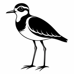 Plover black silhouette