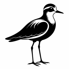 Plover black silhouette