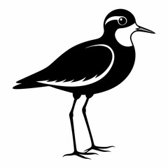 Plover black silhouette
