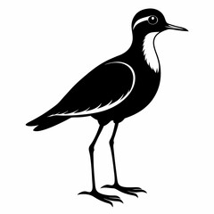 Plover black silhouette