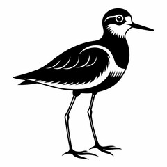 Plover black silhouette