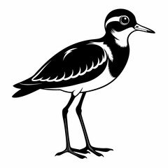 Plover black silhouette
