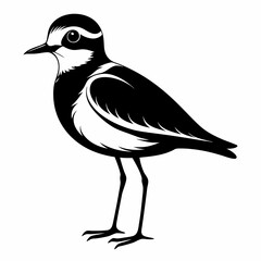 Plover black silhouette