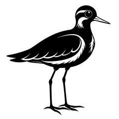 Plover black silhouette