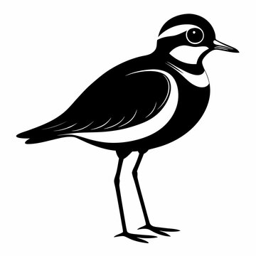 recommend clip art: Plover black silhouette