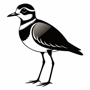 recommend clip art: Plover black silhouette