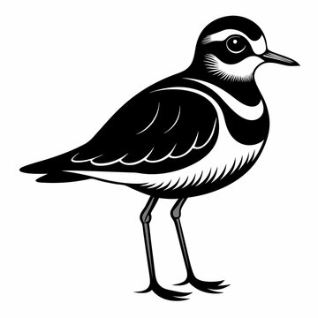 recommend clip art: Plover black silhouette