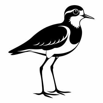 recommend clip art: Plover black silhouette