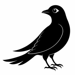 Cuckoo black silhouette