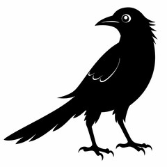 Obraz premium Cuckoo black silhouette