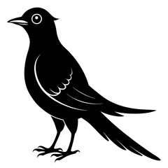 Cuckoo black silhouette