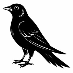 Cuckoo black silhouette
