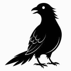 Cuckoo black silhouette