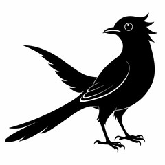 Cuckoo black silhouette