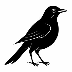 Cuckoo black silhouette