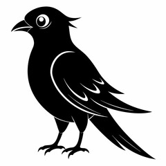 Cuckoo black silhouette