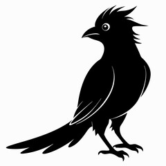 Cuckoo black silhouette