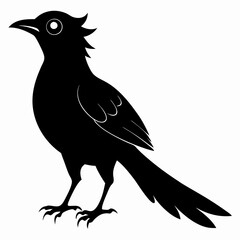 Cuckoo black silhouette