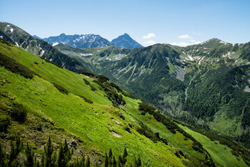 Naklejka premium Silent valley, High Tatras mountain, Slovakia