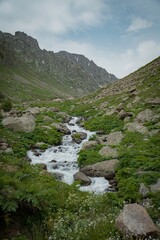mountain river in the mountains