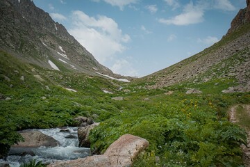 mountain river in the mountains