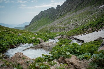 Obraz premium river in the mountains