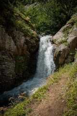 waterfall in the forest