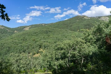 Obraz premium Scenic view of a lush green mountain landscape under a clear blue sky with scattered clouds