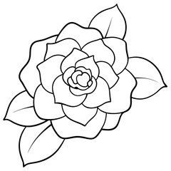 Line art of camellia flower
